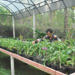 Berwisata Sambil Belajar Aneka Flora di Agro Wisata Kahayangan