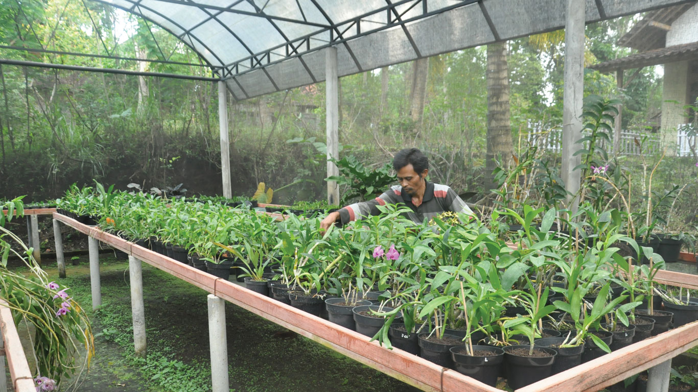 Berwisata Sambil Belajar Aneka Flora di Agro Wisata Kahayangan